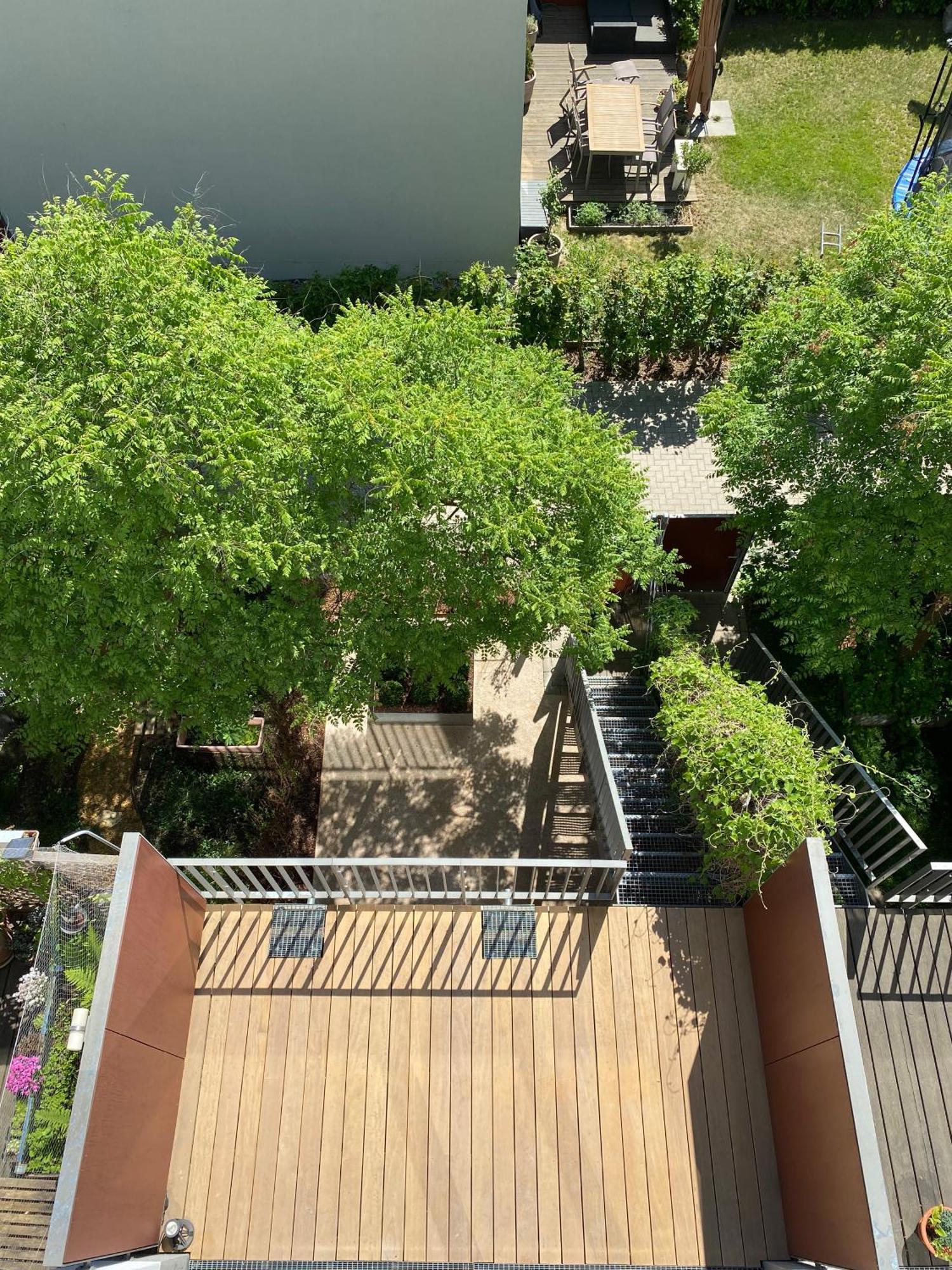 德累斯顿Townhouse Alaunpark别墅 外观 照片